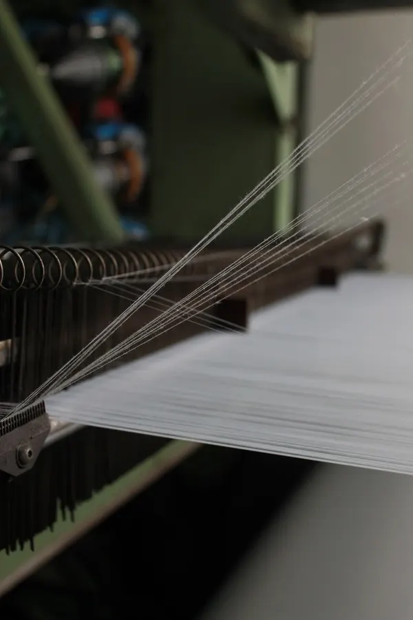 Close-up of white warp threads on a weaving loom